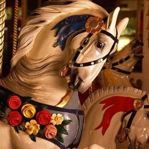 Meet your Posher, Nicki